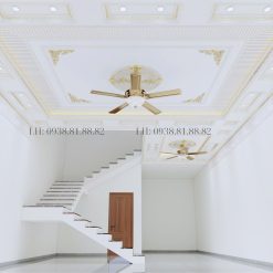 Trần Tường Nhựa Mã 01